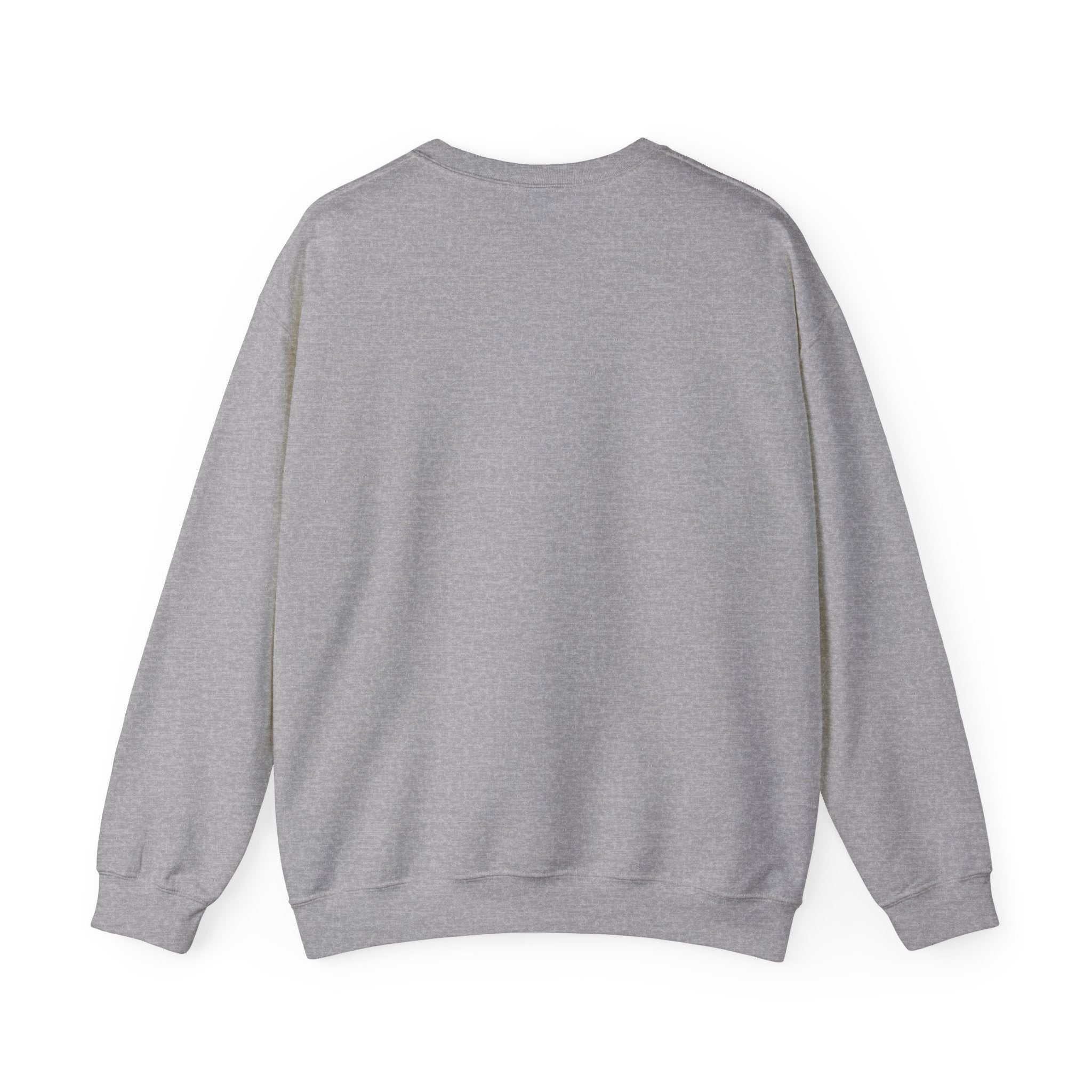 Financially Irresponsible Crewneck Sweatshirt