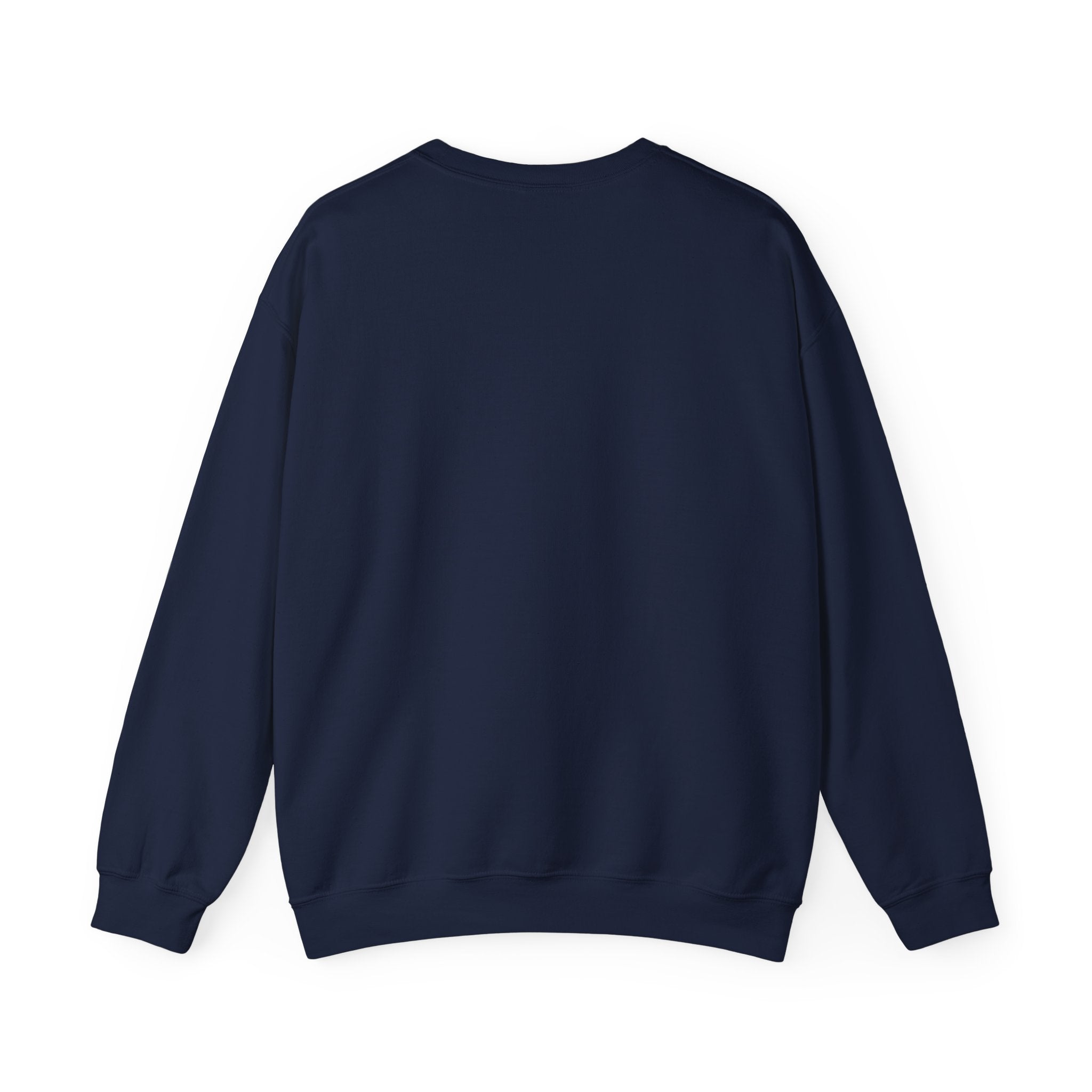 Financially Irresponsible Crewneck Sweatshirt